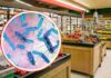 Pericolo Salmonella dal Ministero, leggi prima di cucinare e controlla subito la tua spesa Reparto di supermercato e batteri della Salmonella in piccolo