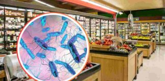 Reparto di supermercato e batteri della Salmonella in piccolo