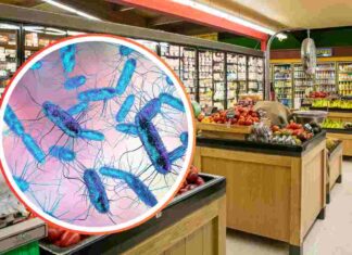 Pericolo Salmonella dal Ministero, leggi prima di cucinare e controlla subito la tua spesa Reparto di supermercato e batteri della Salmonella in piccolo