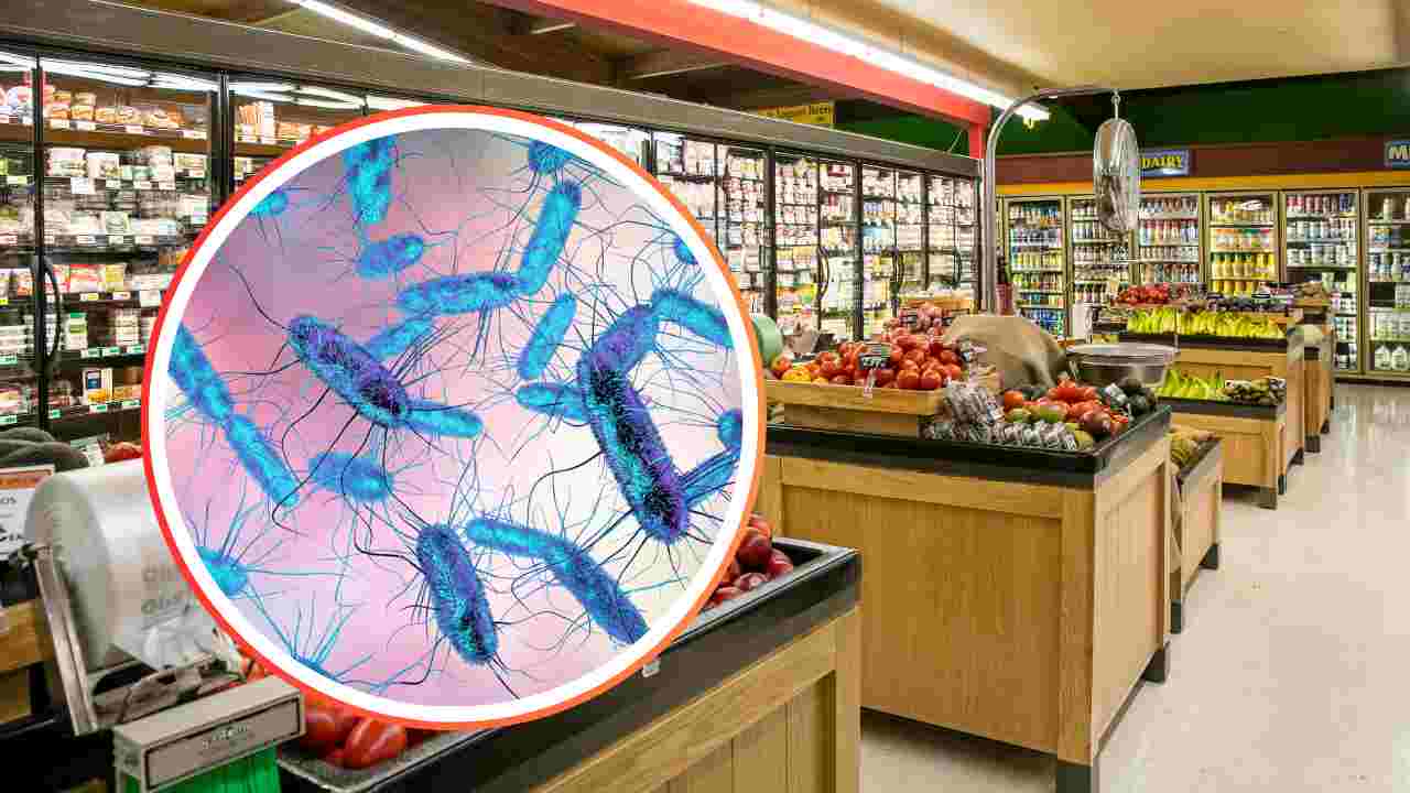 Reparto di supermercato e batteri della Salmonella in piccolo