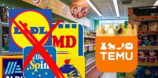 I loghi di Temu e di vari discount ed un punto vendita sullo sfondo