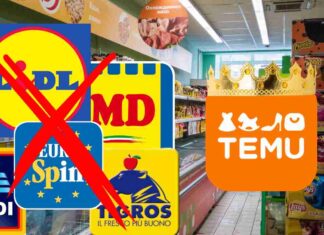 I loghi di Temu e di vari discount ed un punto vendita sullo sfondo