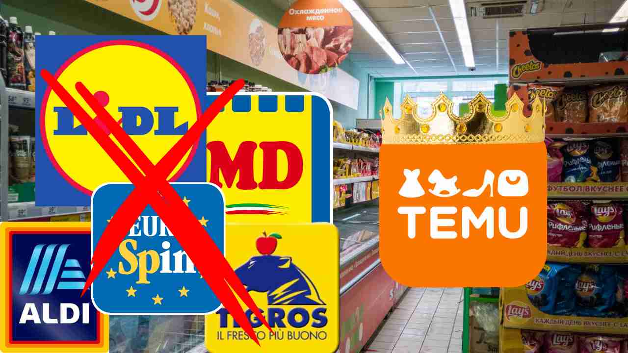 I loghi di Temu e di vari discount ed un punto vendita sullo sfondo