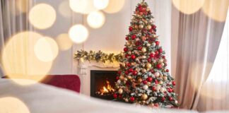 Esiste l’albero di Natale perfetto? Certo che si, tutto inizia da un dettaglio che quasi tutti ignorano Albero di Natale perfetto -Ricettasprint.it