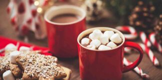 Sembra una cioccolata natalizia ma è ancor più buona e densa, la faccio senza latte e senza farina! Benedetta Parodi costretta a lasciarlo andare - RicettaSprint