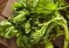 Cime di rapa dall’acquisto alla cottura e conservazione, i segreti delle nonne garantiranno un risultato da 10 e lode Cime di rapa pulire e cuocere -Ricettasprint.it
