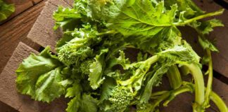 Cime di rapa dall’acquisto alla cottura e conservazione, i segreti delle nonne garantiranno un risultato da 10 e lode Cime di rapa pulire e cuocere -Ricettasprint.it