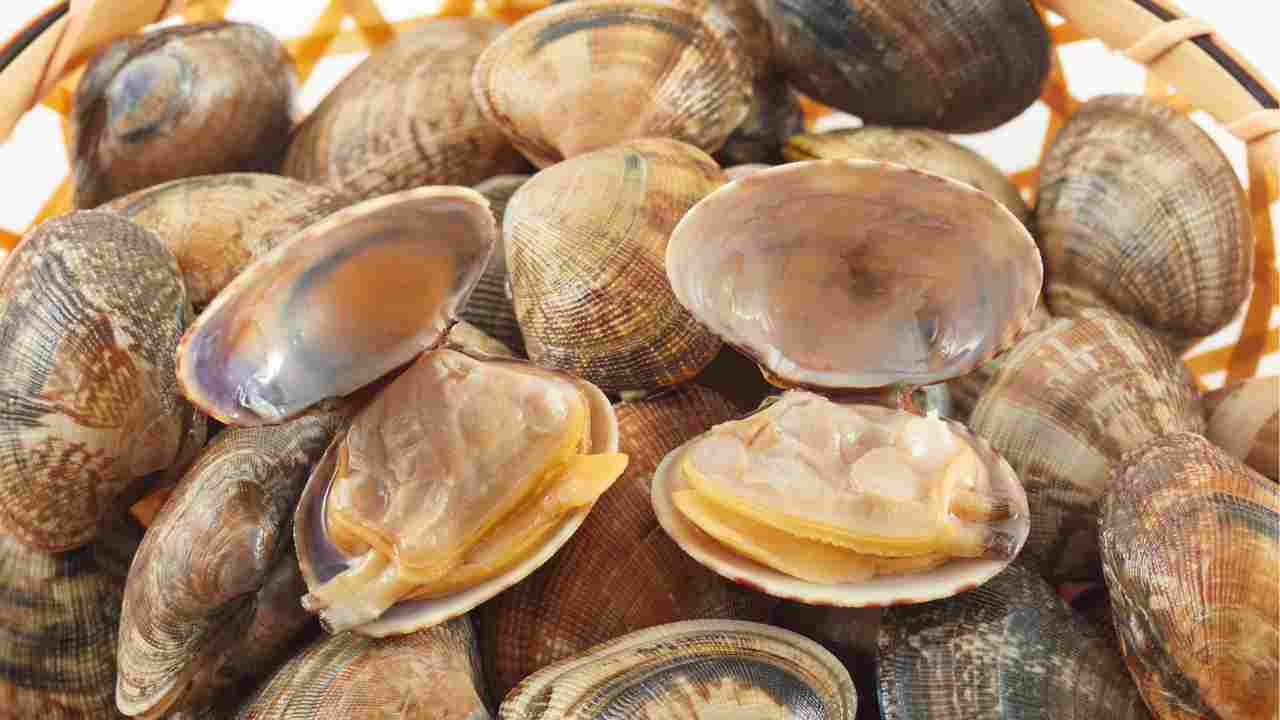 Congelare le vongole - Ricettasprint.it