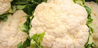 Cottura e conservazione del cavolfiore - Ricettasprint.it