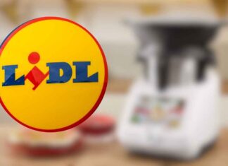 Lidl l'elettrodomestico da cucina per non cucinare più - RicettaSprint