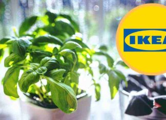 Da Ikea l’accessorio perfetto per il pesto tutto l’anno, ma lo stesso puoi farlo a casa a 0 euro