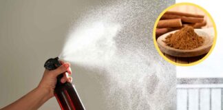 Metti insieme alcol e cannella - RicettaSprint