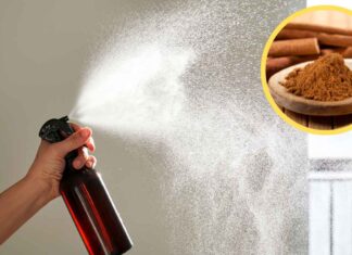 Prova a mescolare alcol e cannella, ti permetterà di risparmiare subito 50 euro Metti insieme alcol e cannella - RicettaSprint