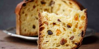 Natale si avvicina come scegliere il panettone? Artigianale o industriale? I segreti per non farsi ingannare Panettone a Natale quale scegliere tra artigianale e industriale - RicettaSprint