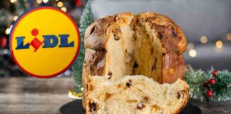 Panettone della Lidl, buono come non mai: ma chi lo produce? Incredibile, prezzo diverso ma stessa anzienda Panettone della Lild chi lo produce - RicettaSprint