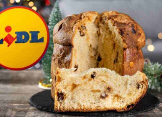 Panettone della Lild chi lo produce - RicettaSprint