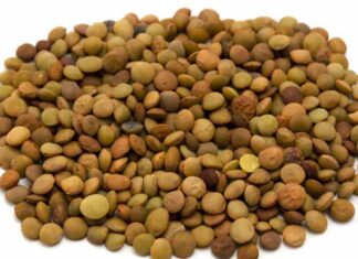 Parmigiana con lenticchie e formaggio spalmabile