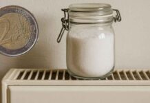 Profumo casa con meno di 2 euro, altro che profumatori inutili, con questo ti sembrerà di essere in primavera Profumo per casa con meno di 2 euro - RicettaSprint