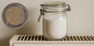 Profumo casa con meno di 2 euro, altro che profumatori inutili, con questo ti sembrerà di essere in primavera Profumo per casa con meno di 2 euro - RicettaSprint