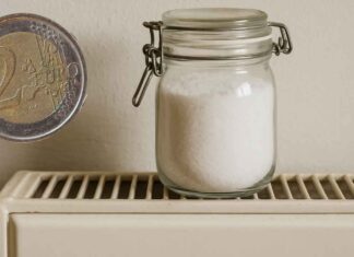 Profumo casa con meno di 2 euro, altro che profumatori inutili, con questo ti sembrerà di essere in primavera Profumo per casa con meno di 2 euro - RicettaSprint