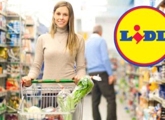 Spesa Natale Lidl a 50 euro - Ricettasprint.it