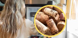 Prendi un tappo di sughero e mettilo in frigorifero, fallo subito prima di Natale Tappo di sughero in frigorifero - RicettaSprint