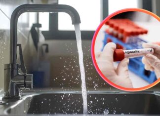 L’epidemia di Legionella in Italia fa una vittima, è psicosi impianti idrici Acqua corrente da un lavandino