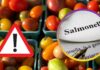 Epidemia di salmonella, ci vanno di mezzo i pomodori: “rischi molto alti” Pomodori in vendita e segnale di pericolo e scritta salmonella