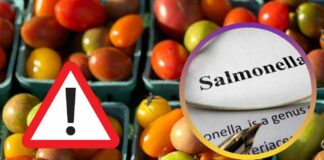 Pomodori in vendita e segnale di pericolo e scritta salmonella
