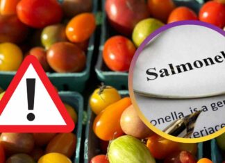 Pomodori in vendita e segnale di pericolo e scritta salmonella