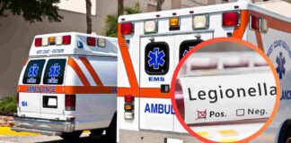 Due ambulanze ed il batterio della legionella in provetta