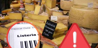 Formaggi di vario tipo