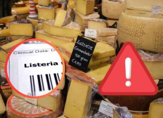 Hai comprato questo formaggio? Lo hanno richiamato per un forte rischio Listeria, occhio Formaggi di vario tipo