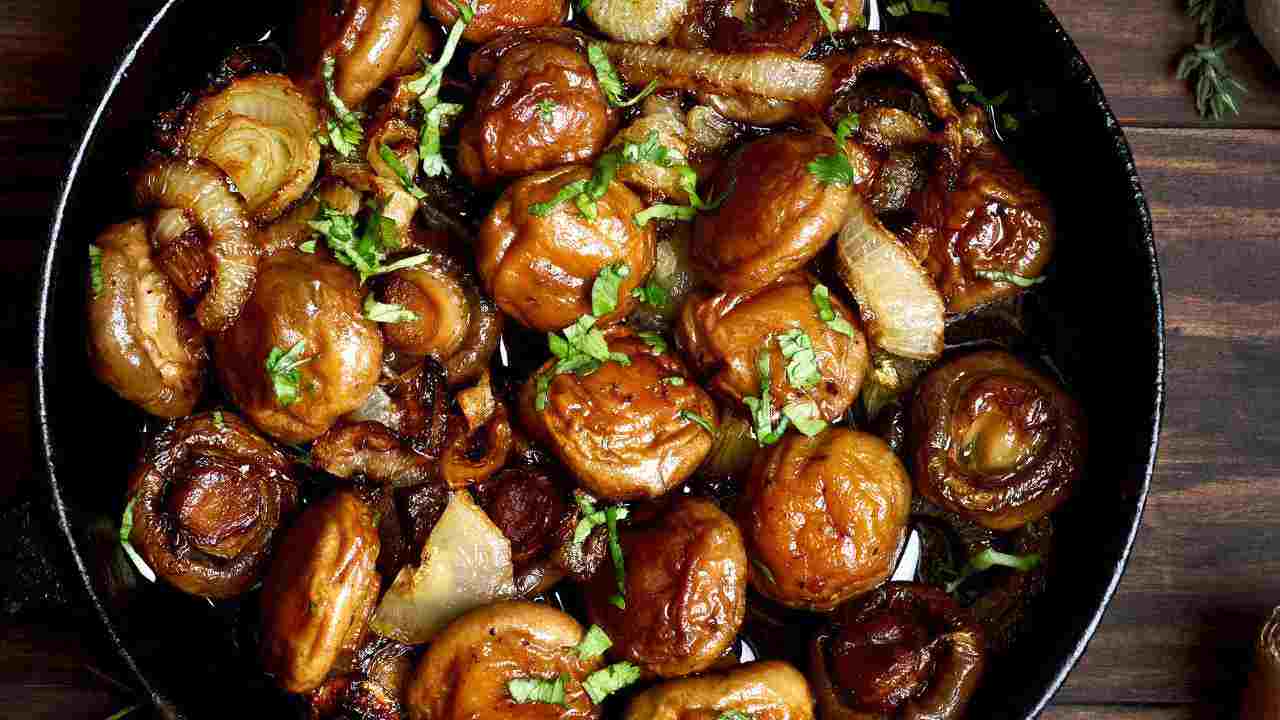 funghi porcini trifolati ricettasprint