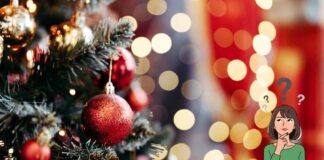 Natale cosa lo rende magico? Non sono gli alberi e le luci, ma qualcosa di più semplice e profondo