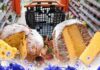 Pandoro e panettone ed un carrello al supermercato come sfondo