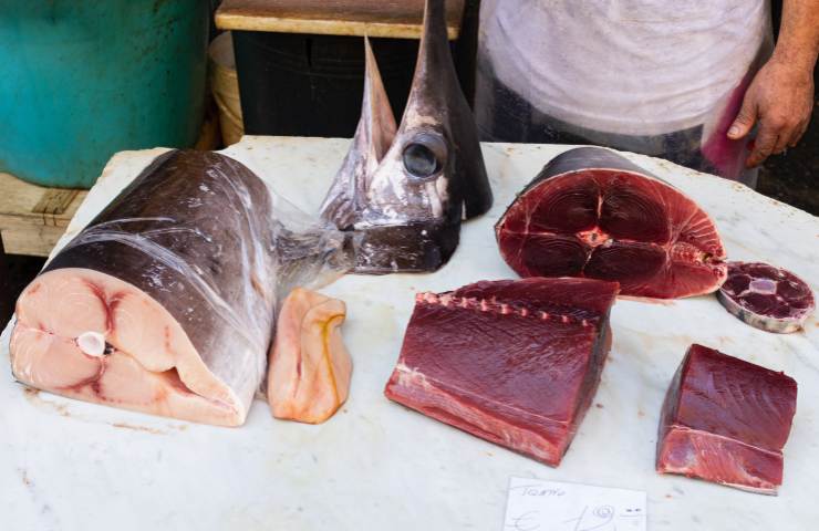 Tonno e pesce spada in pezzi e tranci