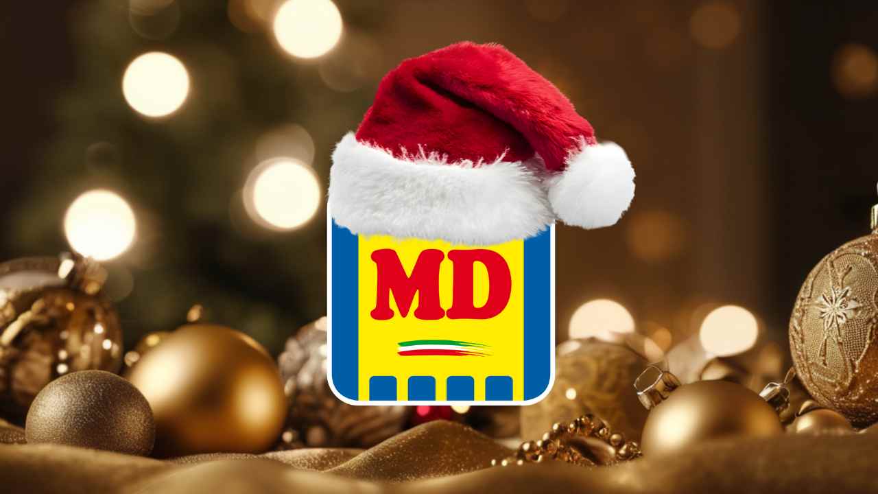 Addobbi natalizi e logo MD