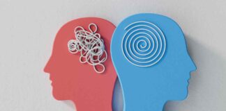 Lo spuntino che fortifica memoria e processi cognitivi, fallo diventare un’abitudine Due rappresentazioni del cervello