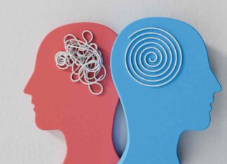 Lo spuntino che fortifica memoria e processi cognitivi, fallo diventare un’abitudine Due rappresentazioni del cervello