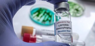 Provetta con Listeria monocytogenes