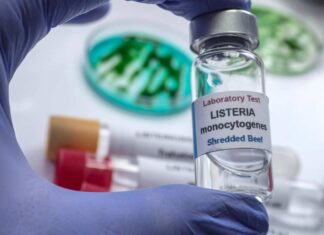 Allarme Listeria, report allarmante dalle autorità: “Casi gravi in aumento” Provetta con Listeria monocytogenes