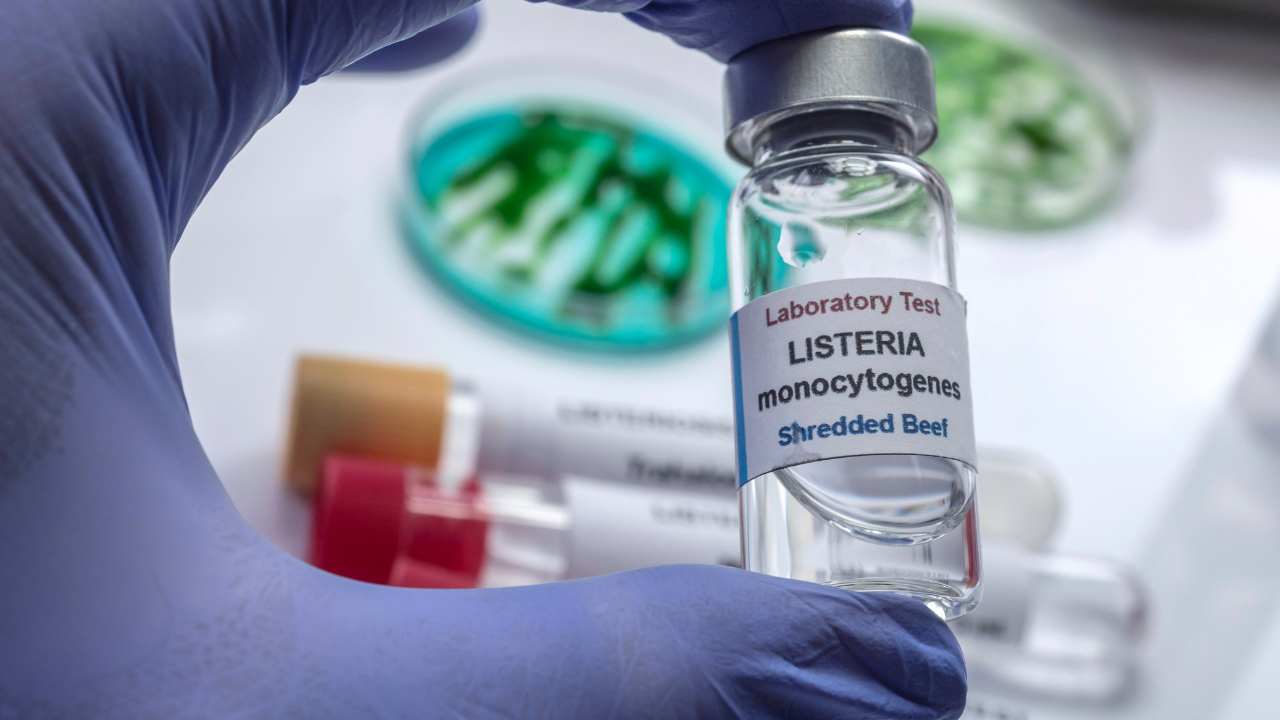 Provetta con Listeria monocytogenes