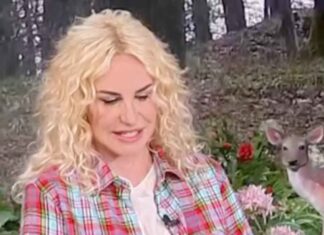 Antonella Clerici duro colpo - RicettaSprint