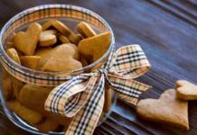 Biscottini speziati di Natale, il regalo perfetto per quell’amica golosa che non sa resistere a un dolcetto Biscottini speziati regalo di Natale - RicettaSprint