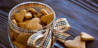 Biscottini speziati regalo di Natale - RicettaSprint