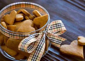 Biscottini speziati di Natale, il regalo perfetto per quell’amica golosa che non sa resistere a un dolcetto Biscottini speziati regalo di Natale - RicettaSprint