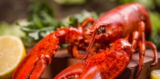 Come pulire e conservare astice - Ricettasprint.it