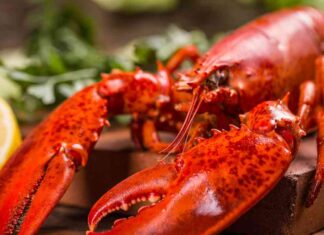 Pulizia e conservazione dell’astice tutto quello che non sai, solo così non sprechi nulla Come pulire e conservare astice - Ricettasprint.it