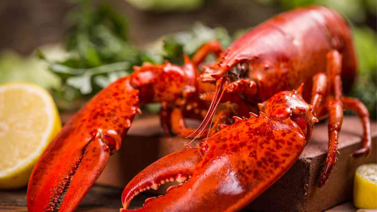 Come pulire e conservare astice - Ricettasprint.it